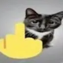 CL_Cat2 Discord Emoji