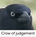 crowofjudgement