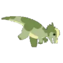 pachy