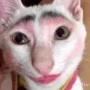 goofy_cat_w_makeup Discord Emoji