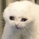cry_sad