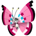 vivillonmeadow