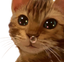 yonsi Discord emoji
