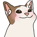 StormBoi