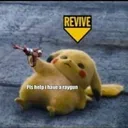 317708473_3327766497483070_42342