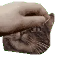 PETTHEMIKI