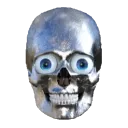 skull7 skull7