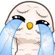 hedwig_sob