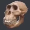 8_skullape 8_skullape