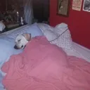 sleep