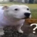 huh