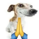 dog_pray