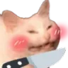 knifecat