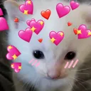 herbertlove