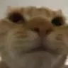 legend_stare legend_stare