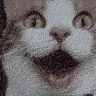 emoji_cat_omg