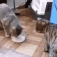 stayhydrated