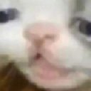 catweary Discord sticker - Chinese