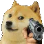 hDogeGun
