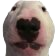 CZ_walterdog Discord emoji