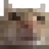 pixelcat