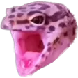 NoodlePOG