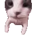 mwwaaa