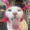 blehhheart blehhheart