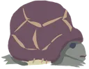 TurtleCrouch