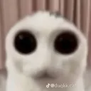 excuseme excuseme