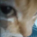 __ __