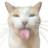 sillybleh