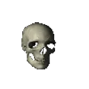 skullspin