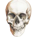 UNALIVE