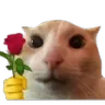 rosecat rosecat