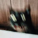 89brokencat3 Discord Emoji