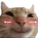 catblush Discord Emoji