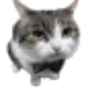 i_am_looking