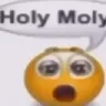 holymoly