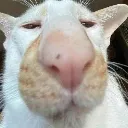 bruh