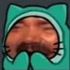 Kat_hehe Kat_hehe