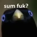 SumFuk