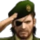 salute