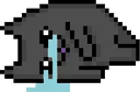 sob_cat