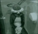 lolbunny