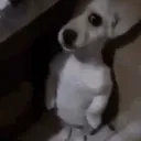 tampo_aq
