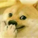 hihi