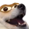 dogeluleyes