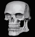 BadToTheBone