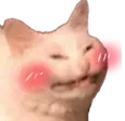 s_cattoblush Discord Emoji